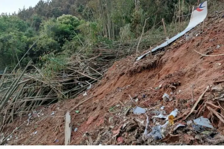 Hancur Berkeping-keping, Pihak Berwenang Kesulitan Cari Penyebab Jatuhnya Pesawat China Eastern Airlines