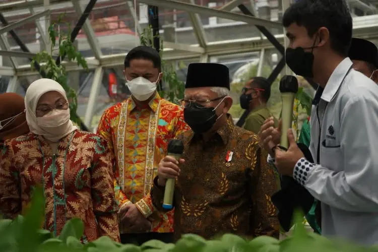 Polemik Wacana Penundaan Pemilu, Begini Tanggapan Wapres Ma'ruf Amin