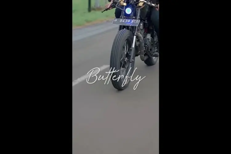 Lirik Lagu Butterfly â Putih Abu-Abu