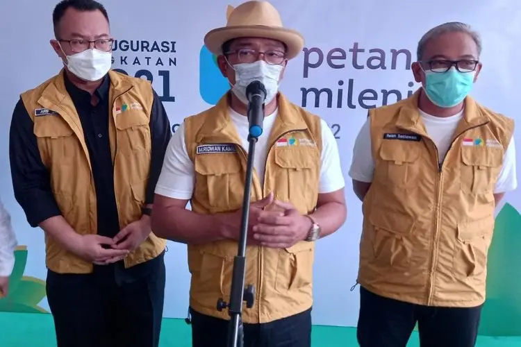 Program Petani Milenial dari Berhasil Hingga Menyerah
