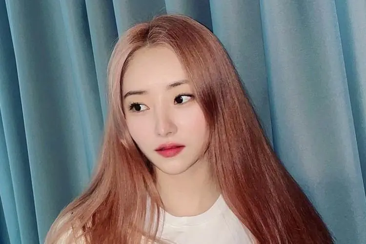 Sua Dreamcatcher Dikonfirmasi Positif Covid-19, Jadwal Kerja Grup Minggu Depat Dibatalkan