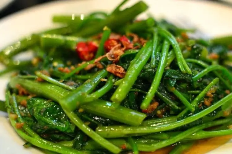 Tanam Kangkung Hidroponik di Rumah? Siapa Bilang Sulit! Raih Hasil Panen Berlimpah dengan Teknik Sederhana Ini