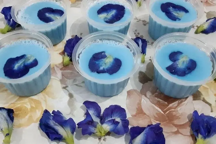 Takjil dengan Puding Talang si Kembang Biru Banyak Manfaat yang Menggugah Selera