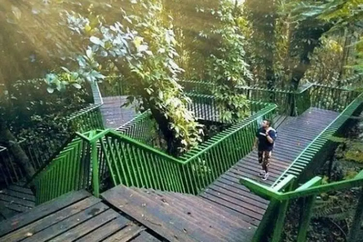 Yuk..Healing Sambil Ngabuburit di Babakan Siliwangi City Forest Path Bandung