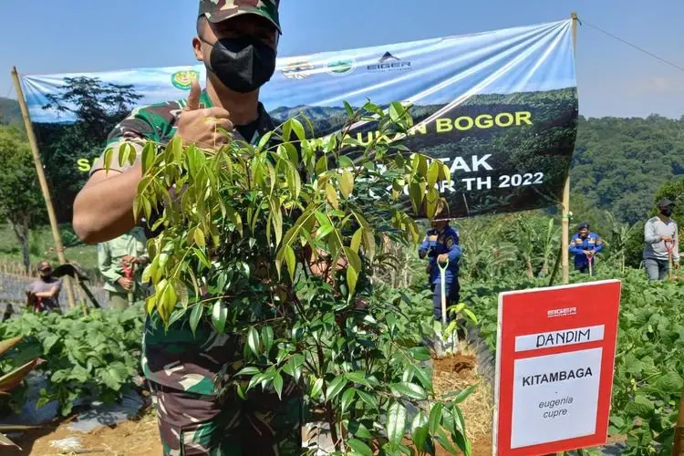 Kurun Waktu Enam Bulan, Kabup[aten Bogor Bakal Tanam Sejuta Pohon di Lahan Kritis