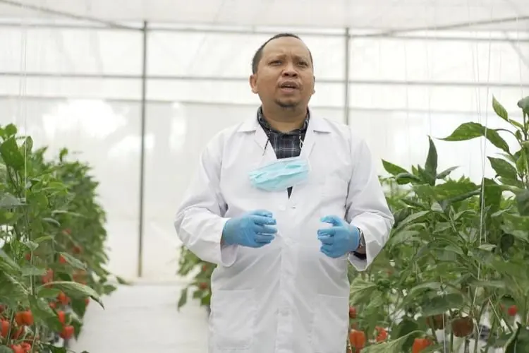 Gandeng BUMD DKI, PT Agro Jabar Bakal Bangun Pabrik Kemasan Minyak Goreng