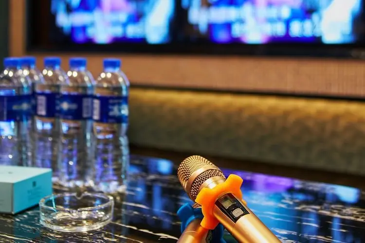 Pemprov DKI Jakarta Izinkan Tempat Karaoke Buka Selama Ramadhan