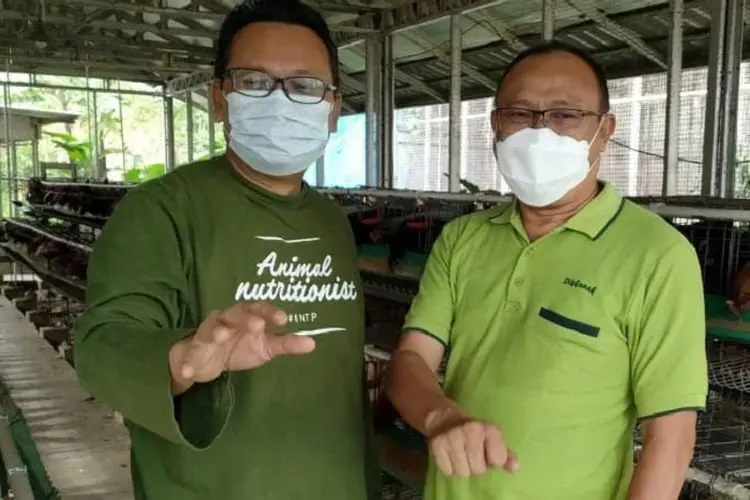 Diskanak Bangun Pembibitan dan Ternak Domba Unggulan di Desa Sipak Jasinga