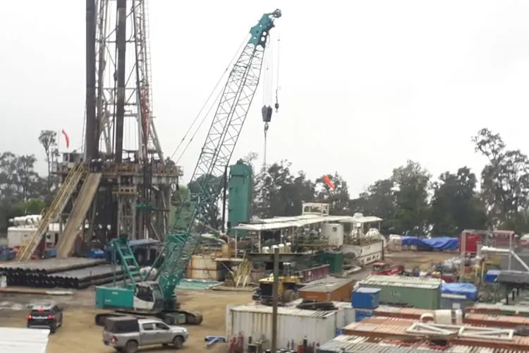 FK3I Sebut Pembangunan PLTP Geo Dipa Energi di Gunung Patuha Mengancam Satwa liar 