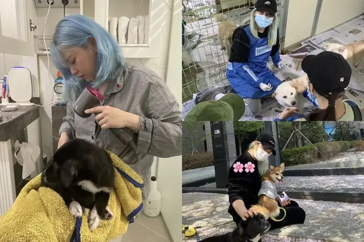 Jeongyeon TWICE dan Kakaknya Gong Seung Yeon Jadi Sukarelawan di Penampungan Hewan