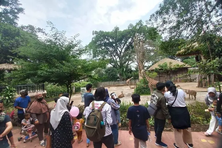 Pengunjung Serbu Kebun Binatang Bandung di Libur Nasional
