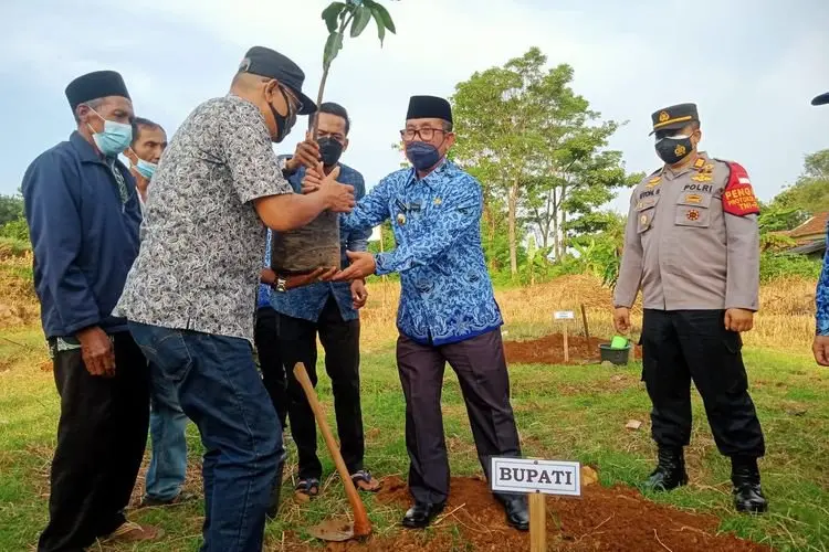 Go Green Indonesia Targetkan 2 tahun Sejuta Pohon Mangga Gedong Gincu Ditanam di Cirebon