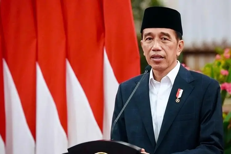 Minta Usut Tuntas Mafia Minyak Goreng, Jokowi: Cari Tahu Siapa yang 'Bermain'