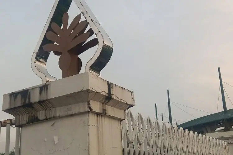 TBM Cijayanti Kenalkan Pohon Kawung dan Kolang-kaling, Ternyata Asal Nama Bogor.