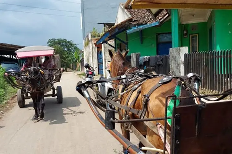 Delman di KBB Dilarang Beroperasi Selama Mudik Berlangsung