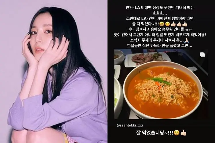 Sandara Park 2NE1 Baru Minta Maaf Kepada Pramugari Pesawatnya Karena Kejadian Ini