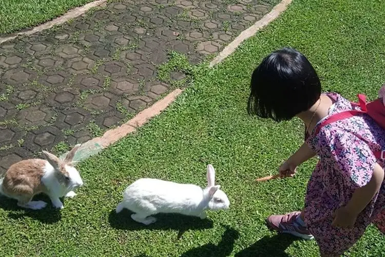 Libur Lebaran, Momen Ajak Si Kecil Bahagia di Happy Farm CiwideyÂ 