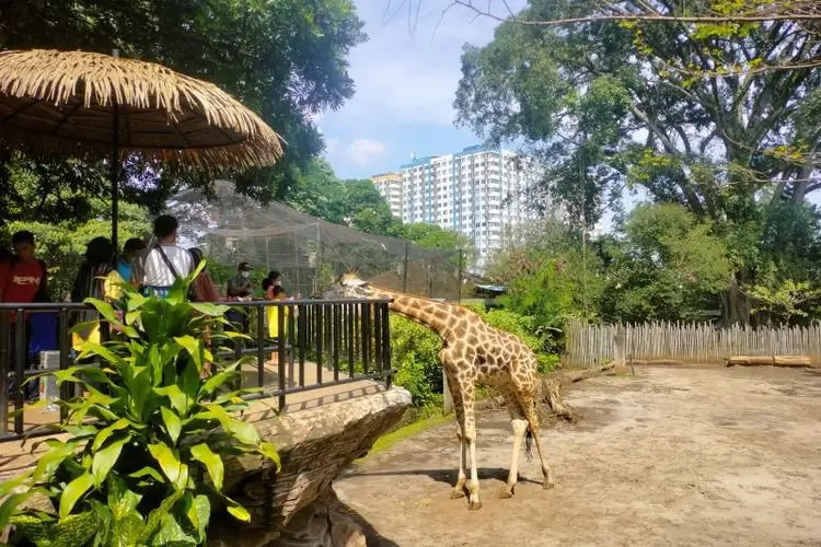 Wisatawan Serbu Kebun Binatang Pada Libur Lebaran