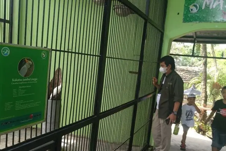 Libur Lebaran 2022, Kunjungan Wisatawan di Taman Satwa Cikembulan Meningkat