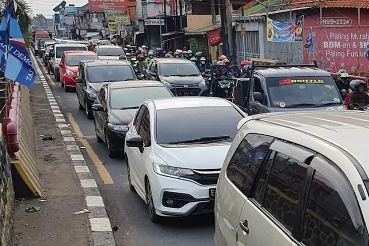 Antisipasi Arus Balik, Menhub Cek Jalur Arteri Pantura
