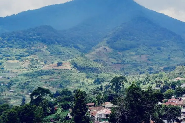 Penerima SHM Redistribusi Lahan Eks HGU di Jasinga Bogor Resah