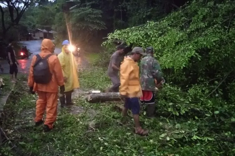 Diguyur Hujan Deras Disertai Angin Kencang, Kios Isi Ulang Air Minum di Cipatat Hancur Tertimpa Pohon Tumbang