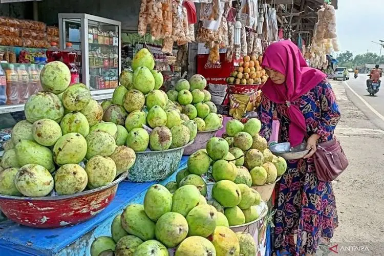 Berkah Lebaran, Penjual Mangga di Indramayu Raup Rp10 Juta Sehari