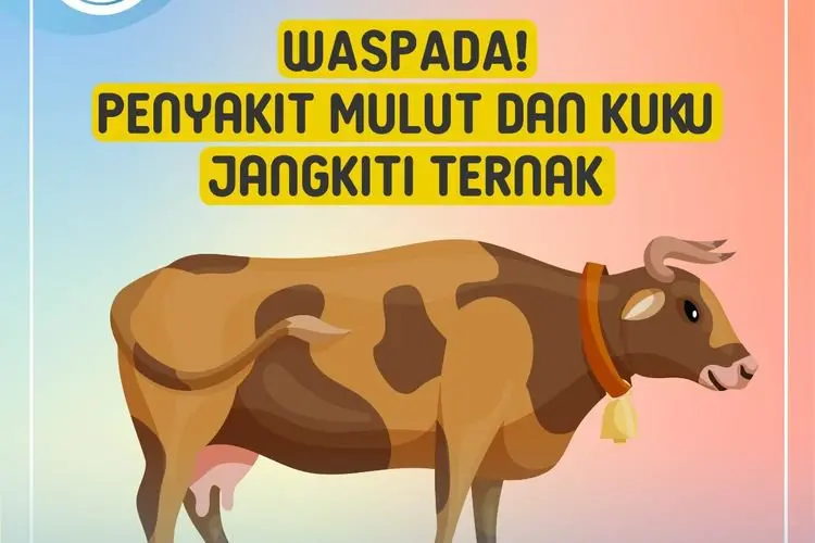Waspada PMK Pada Hewan Ternak, Begini Gejala dan Langkah Penanganannya