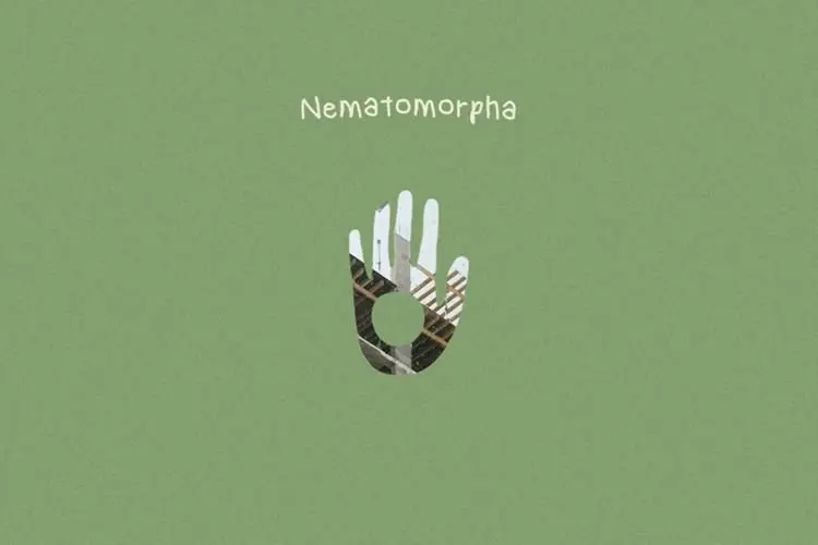 Lirik Laguâ Nematomorpha â Fourtwnty