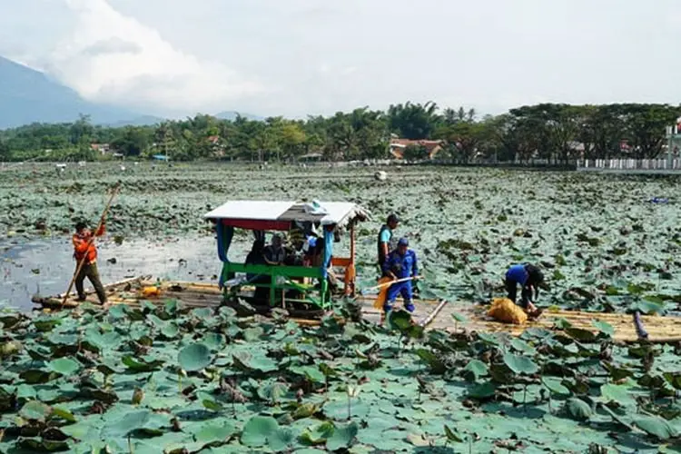 Situ Bagendit Ditutupi Teratai, DPRD dan Pemkab Garut Gelar Baksos Opsih