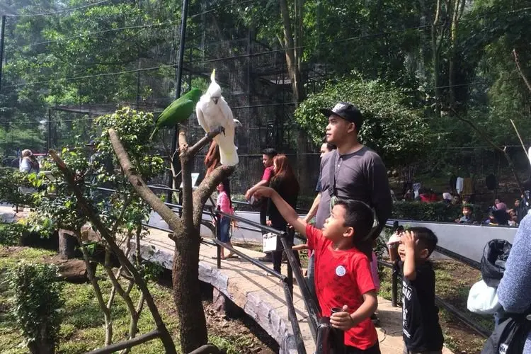 Kabar Baik, Kini Pengunjung Kebun Binatang Bandung Diperbolehkan Melepas Masker