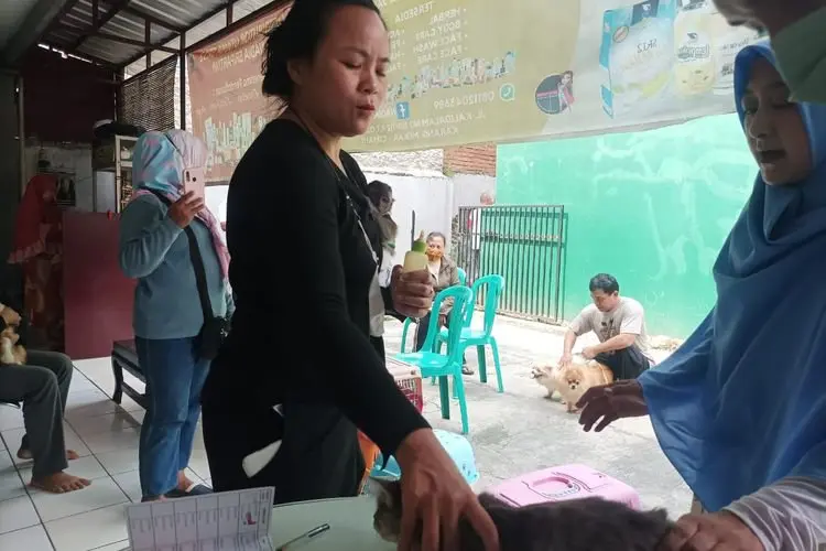 Sempat Dihentikan Selama Ramadhan, Vaksinasi Hewan Gratis Kembali Dilakukan di 15 Kelurahan di Cimahi