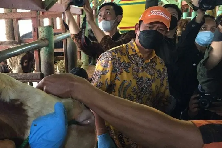 Antisipasi Wabah PMK, Kota Bandung Akan Bentuk Satgas Penanganan
