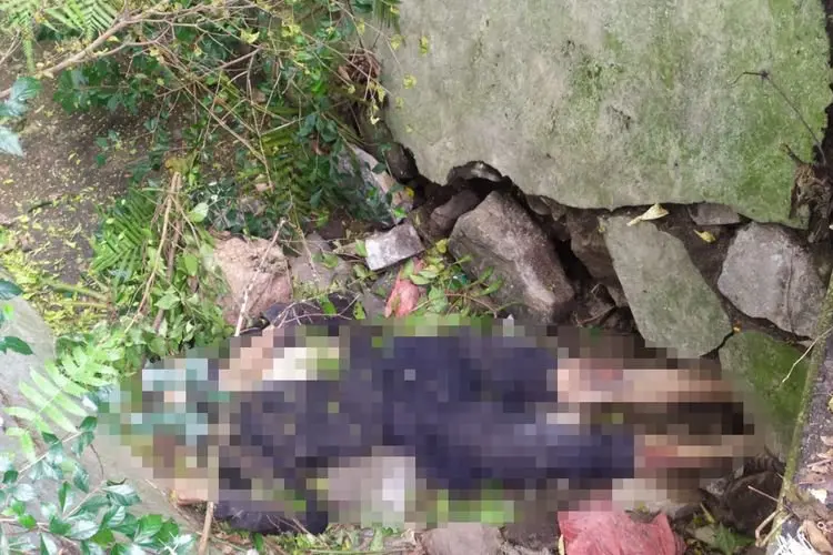 Geger..Penemuan Mayat Pria Tanpa Identitas Dekat Istana Bogor 