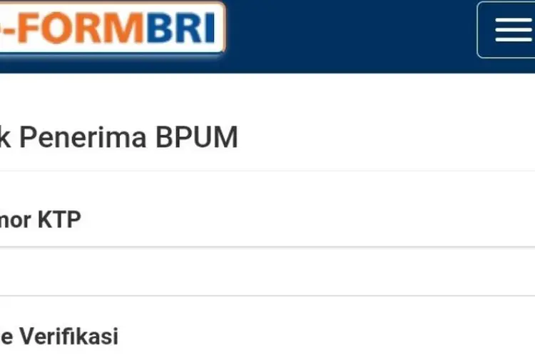 Ketik NIK KTP di eform.bri.co.id, Kamu Bisa Jadi Penerima BPUM 2022 Jikaâ¦