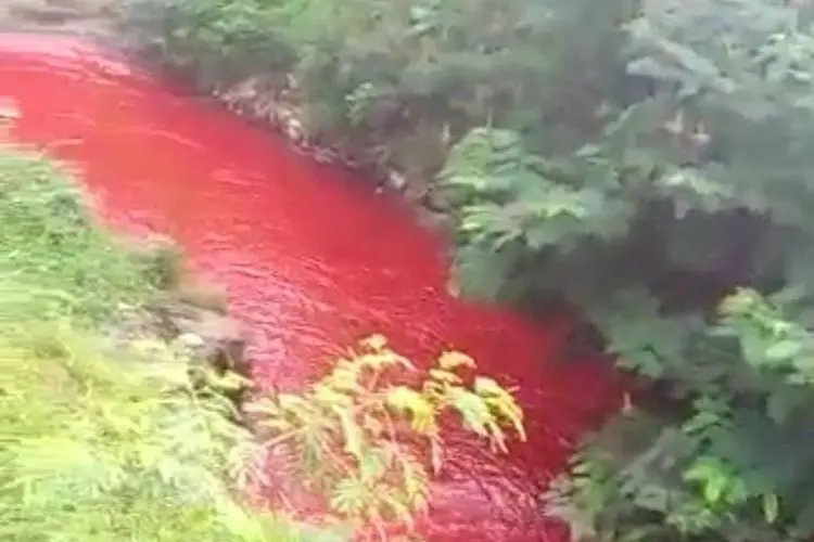 Viral! Sungai Cimeta di KBB Mendadak Berwarna Merah