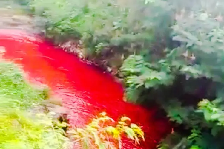 Baru Kali Ini Sungai Cimeta Berwarna Merah, Petugas : Perubahan Warna Sejauh 2 KM