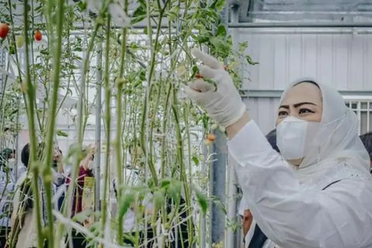 Gandeng TTM, Pemkab Karawang Dirikan Green House dan Packing House