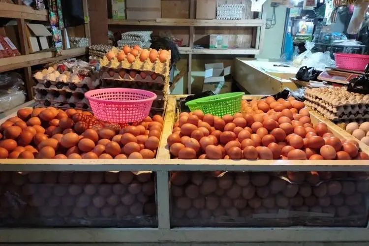 Harga Telur Naik, Pedagang Keluhkan Penurunan Omzet