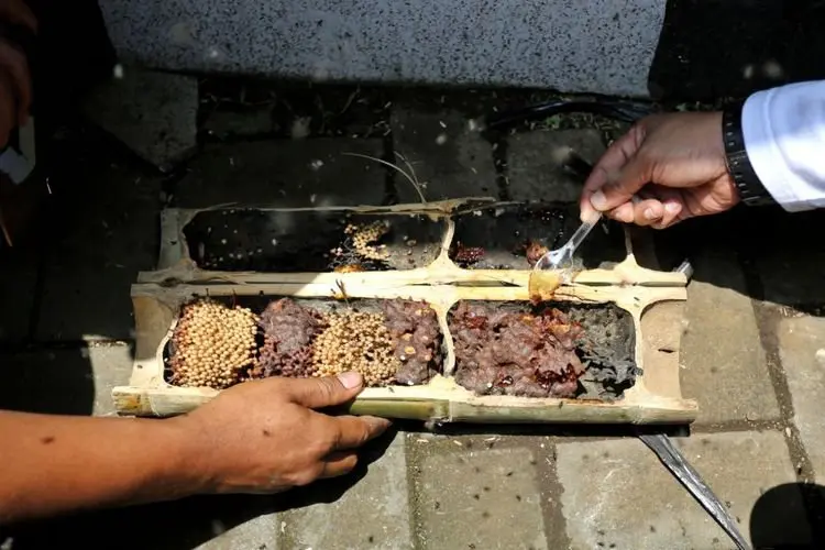 Warga Bandung Ini Ternak Lebah Madu Hanya di Lahan Sempit, Hasilnya Memuaskan