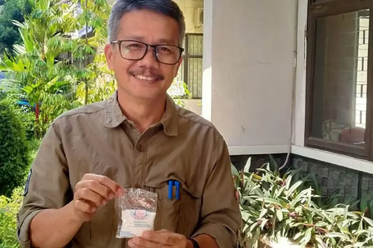 Perisa Makanan Citrid Acid Dipercaya Bisa Menyembuhkan PMK