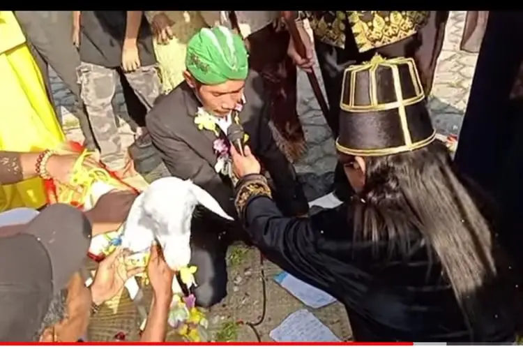 Viral Pria Nikahi Kambing Demi Konten, Kemenag Angkat Bicara