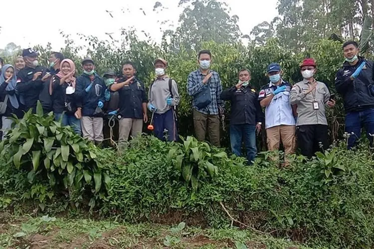 Hargai Cabai di Garut Meroket, Begini Upaya Tim PPHH Kendalikan OPT yang Jadi Penyebab