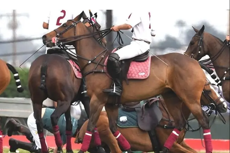 Pangeran Harry Jatuh dari Kuda Saat Pertandingan Polo, Apakah Alami Cidera?