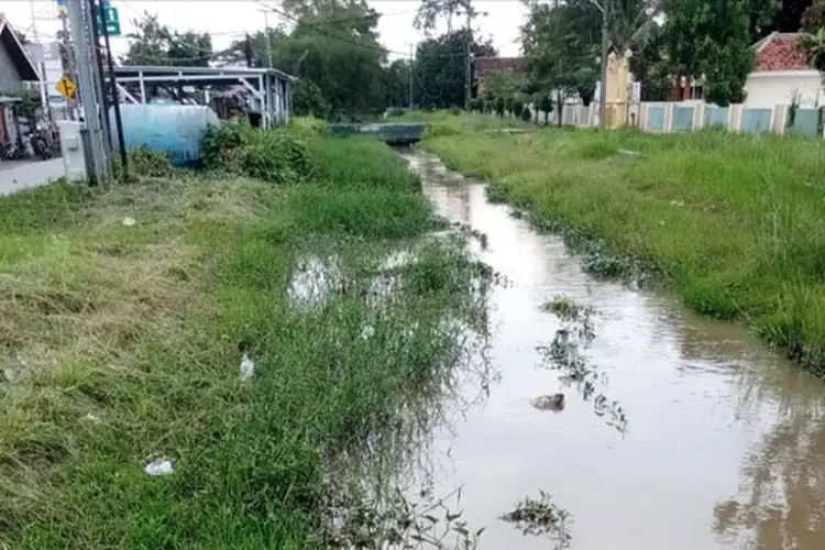 Sedimentasi Saluran Sekunder Tinggi, Normalisasi Sungai di Kaliwedi Cirebon Perlu Segera Dilakukan
