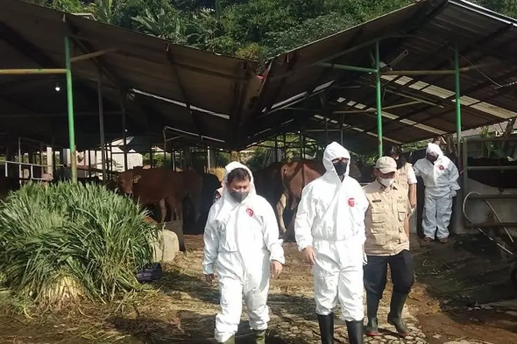 Forkopimda Kota Bogor Cek Penanganan PMK di RPH Bubulak, Ini Hasilnya