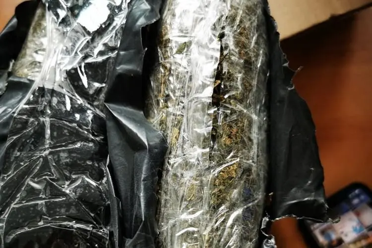 Tim Gabungan Bea Cukai Bandung Gagalkan Penyelundupan Ganja Seberat 1,6 Kilogram dari Medan 
