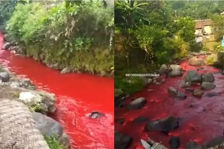 DLH Jabar Pastikan Cemaran Merah Sungai Cimeta Tak Berbahaya