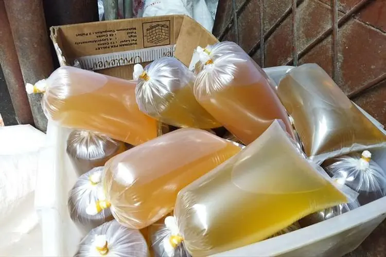Simak, Ini Cara Beli Minyak Goreng Curah Rp14 Ribu Pakai PeduliLindungi