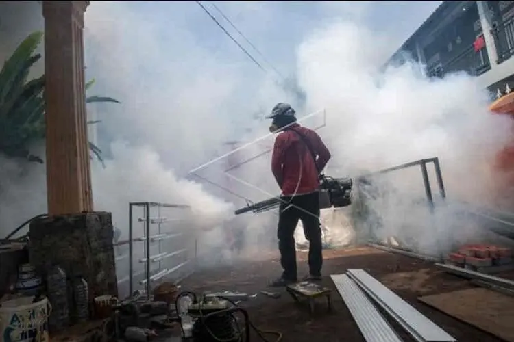 Ngeri! Kasus DBD di Kabupaten Cirebon Periode Januari-Juni Tembus 1000 Orang